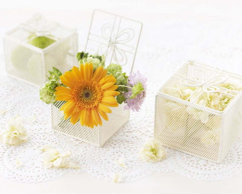 Yellow Flower in Box