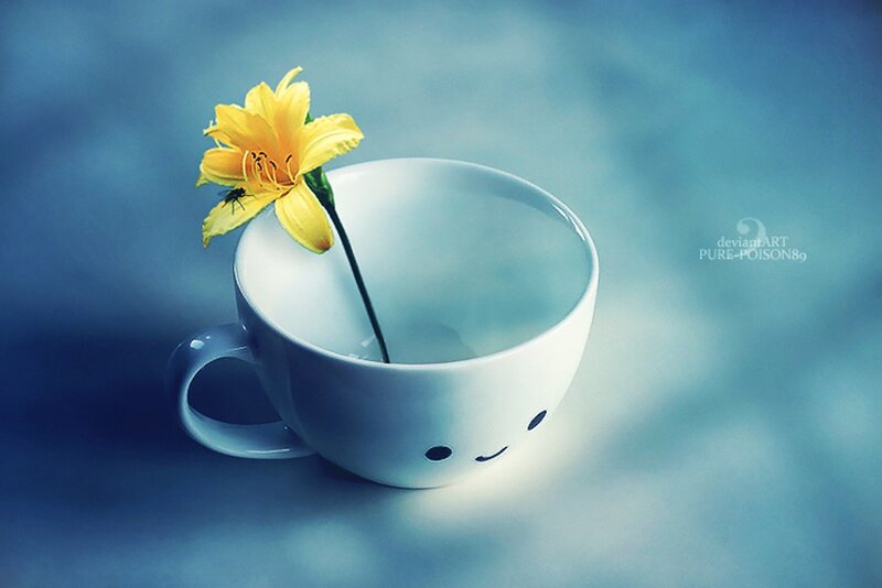 Yellow Flower in Cup — Blue