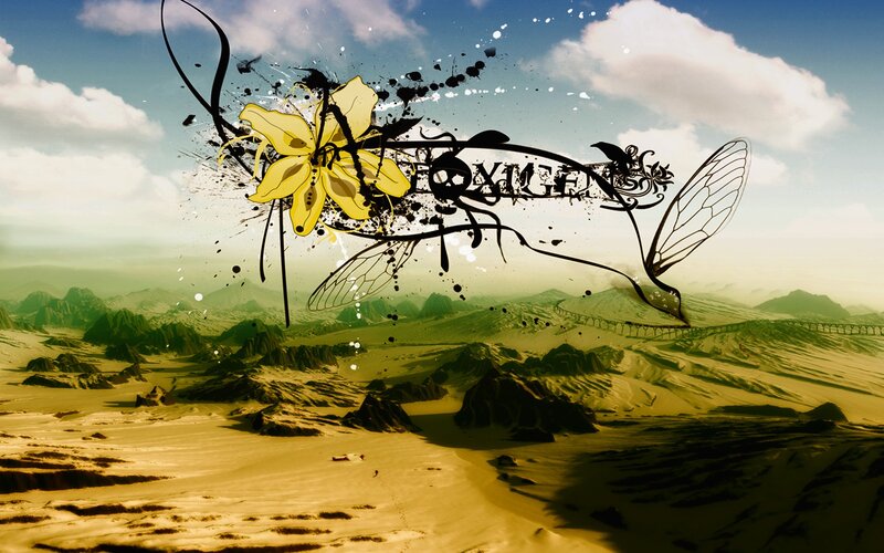 Yellow Flower in Desert — Green