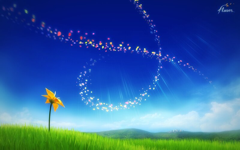 Yellow Flower in Field — Blue