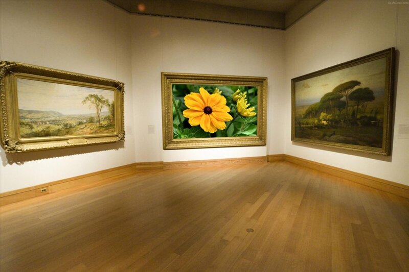 Yellow Flower in Frame — Calm