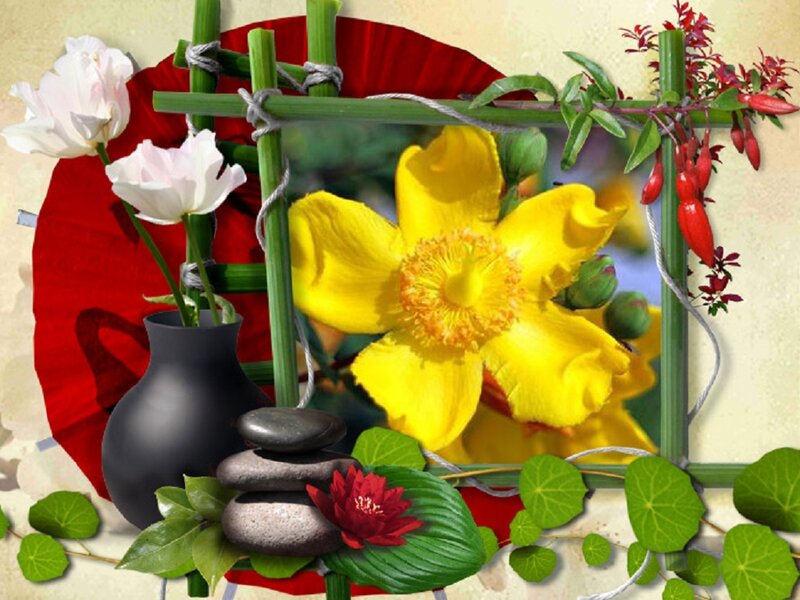 Yellow Flower in Frame