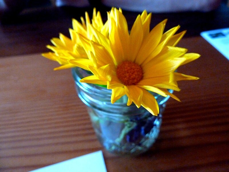Yellow Flower in Jar — Calm