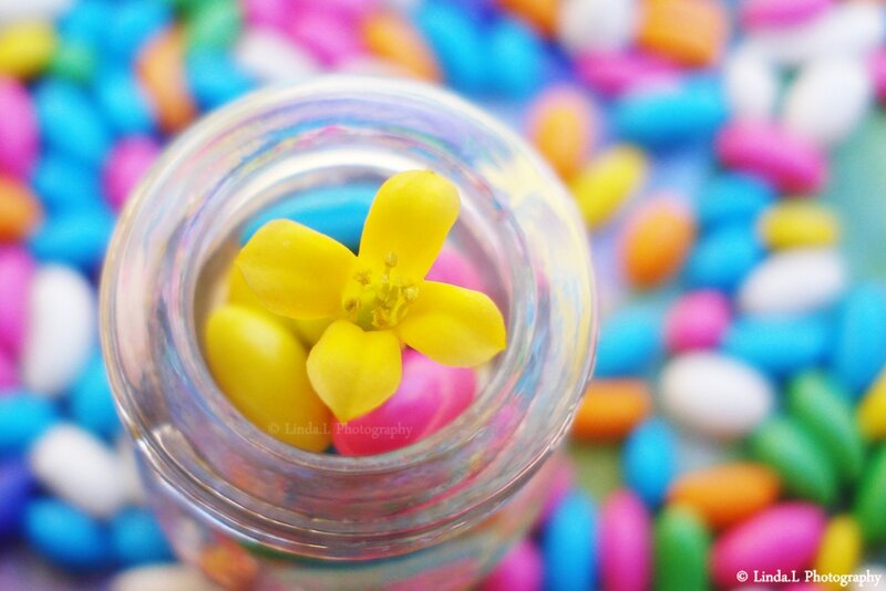 Yellow Flower in Jar — Colorful