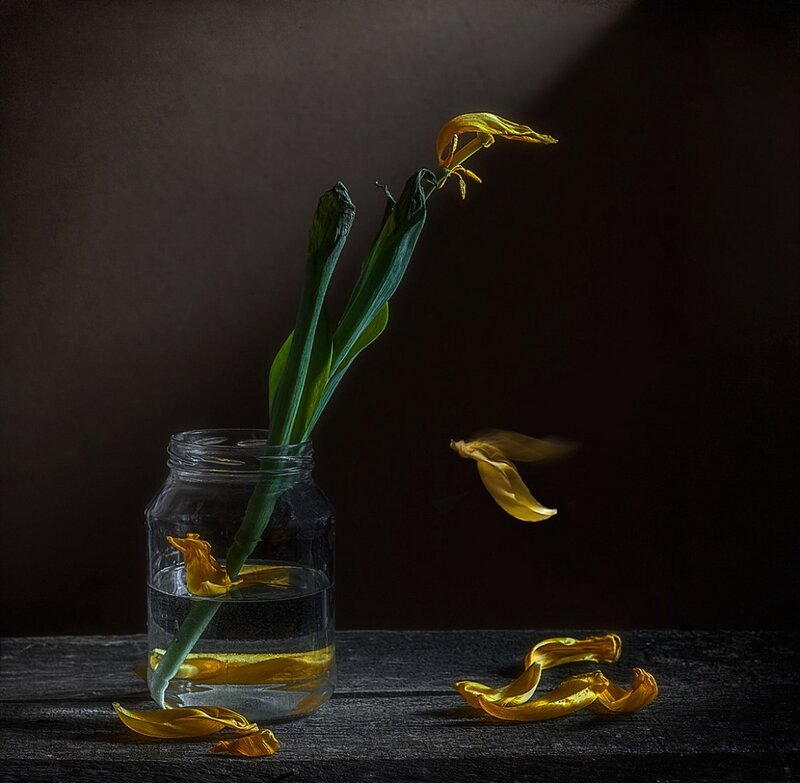 Yellow Flower in Jar — Dramatic