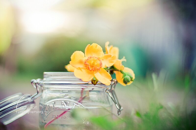 Yellow Flower in Jar — Serene