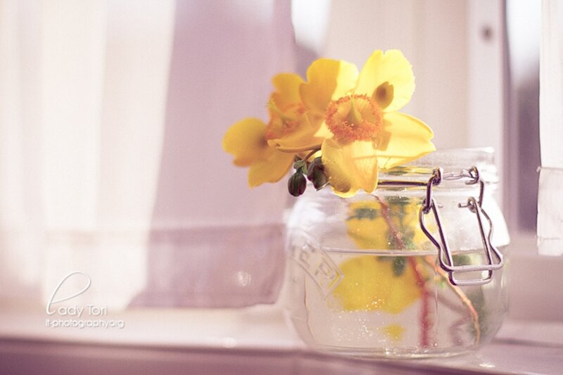 Yellow Flower in Jar