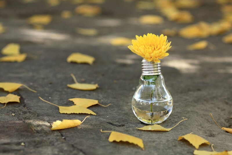 Yellow Flower in Light Bulb — Serene