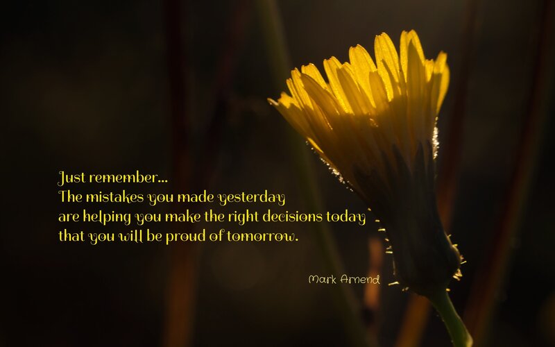 Yellow Flower in Sunlight — Inspirational