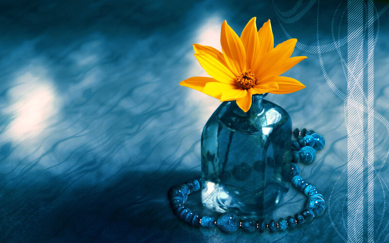 Yellow Flower in Vase — Blue, Serene