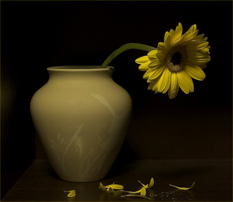 Yellow Flower in Vase
