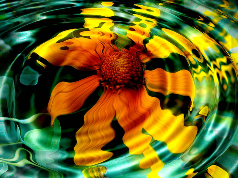 Yellow Flower in Water — Vibrant, Digital Art