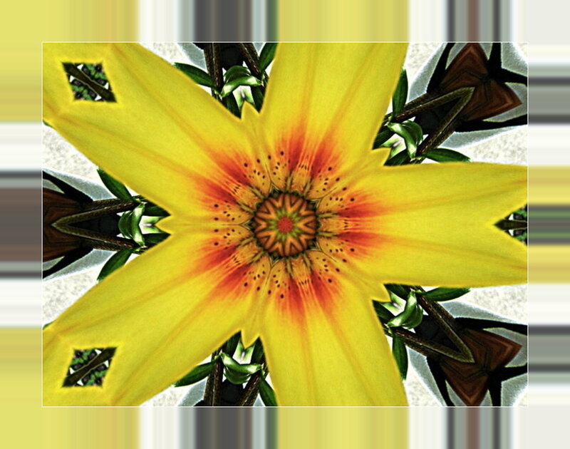 yellow flower kaleidoscope