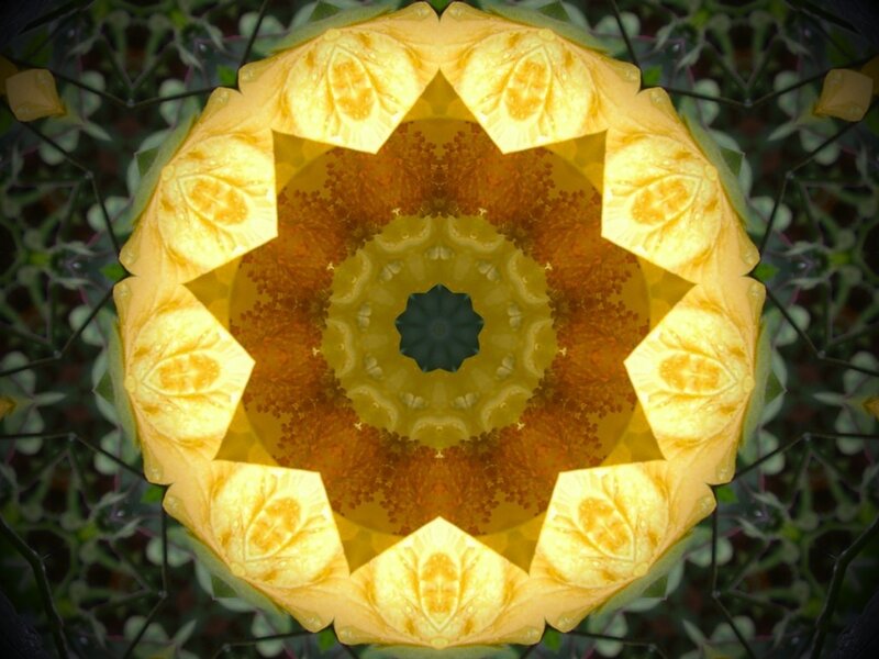 Yellow Flower Mandala