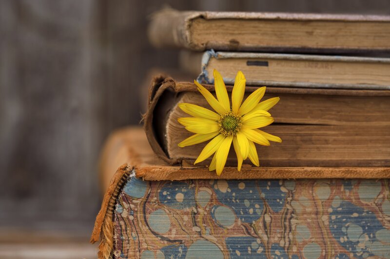 Yellow Flower on Books