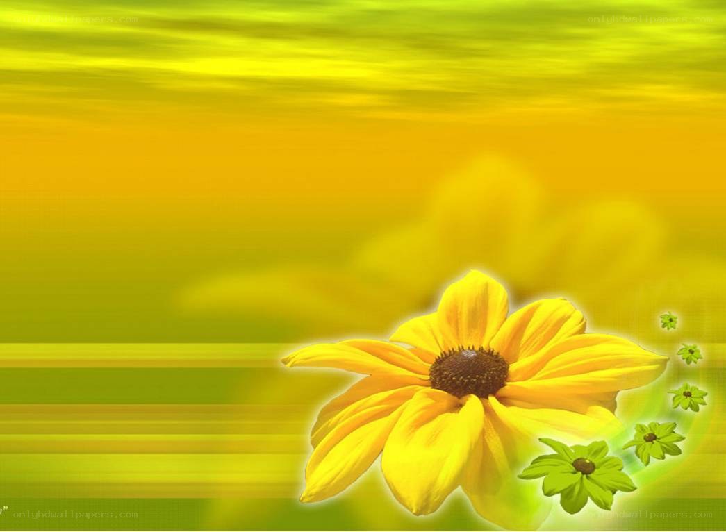 Yellow flower on green background
