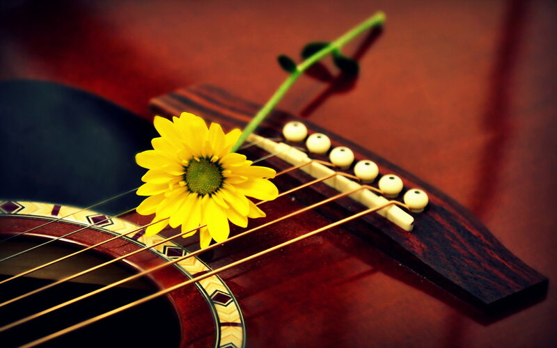 Yellow Flower on Guitar — Calm