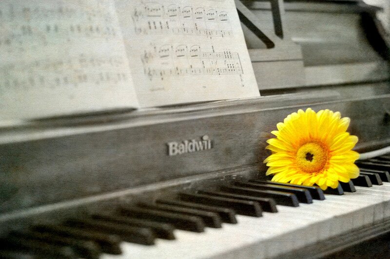 Yellow Flower on Piano — Calm