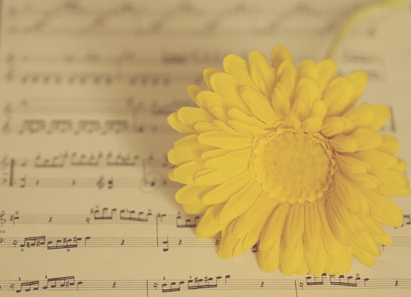 Yellow Flower on Sheet Music
