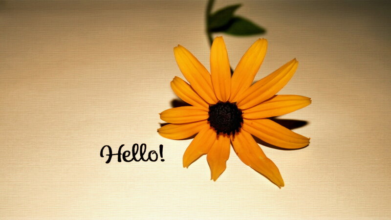Yellow Flower on Surface