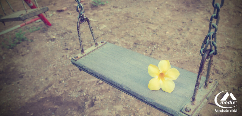 Yellow Flower on Swing