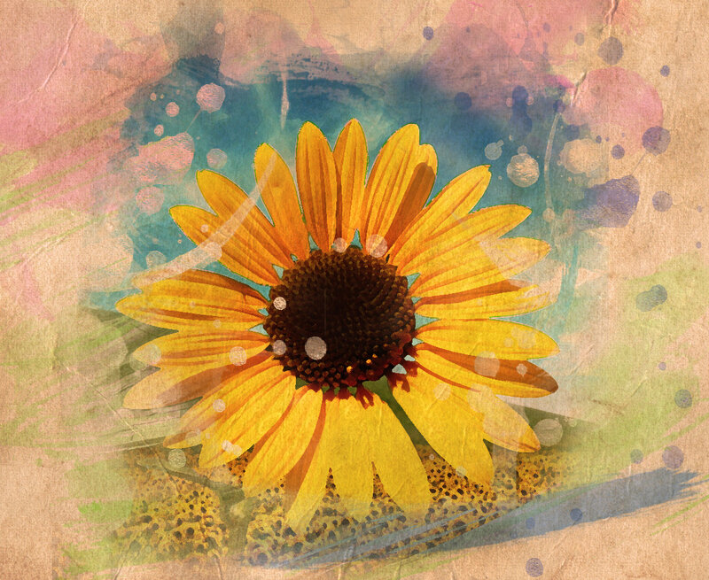 Yellow Flower on Textured Background — Artistic