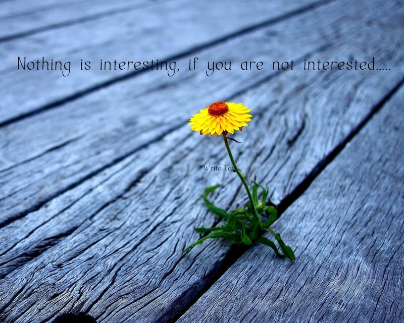 Yellow Flower on Wood — Blue, Calm