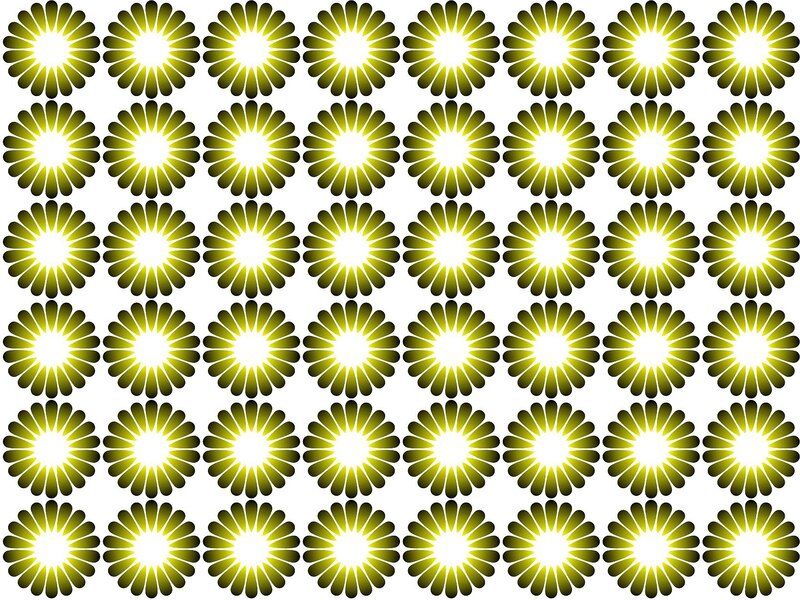 Yellow Flower Pattern