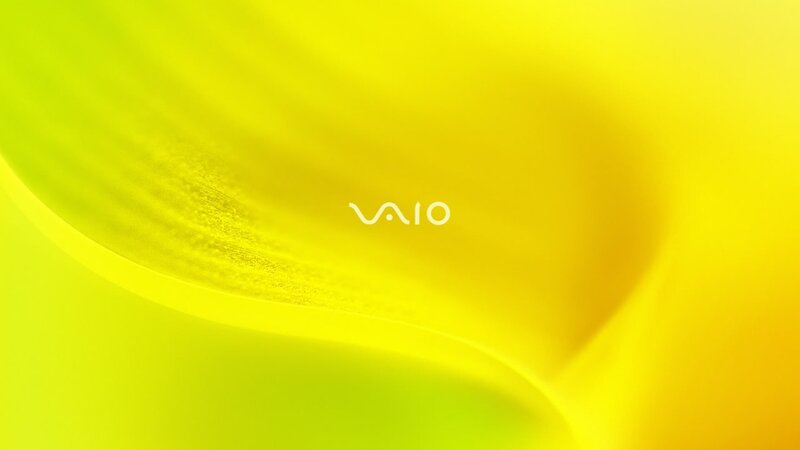 Yellow Flower Petal