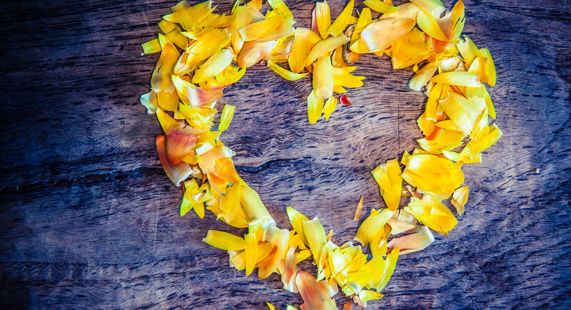 Yellow Flower Petals — Calm, Photograph