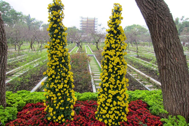 Yellow Flower Topiaries