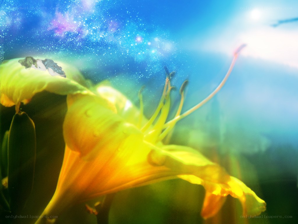 Yellow flower under starry sky