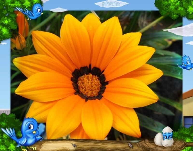 Yellow Flower with Birds