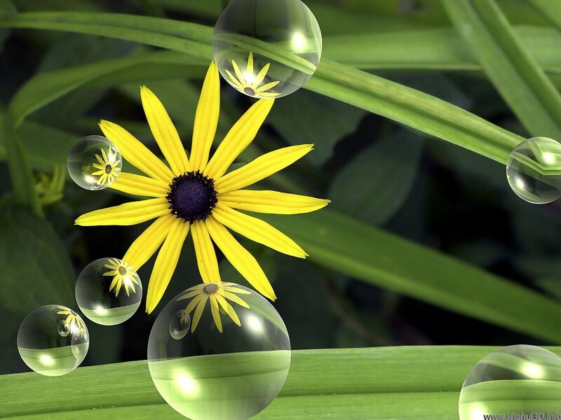 Yellow Flower with Bubbles