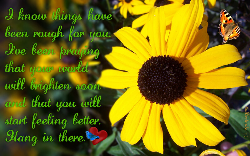 Yellow Flower with Butterfly — Hopeful