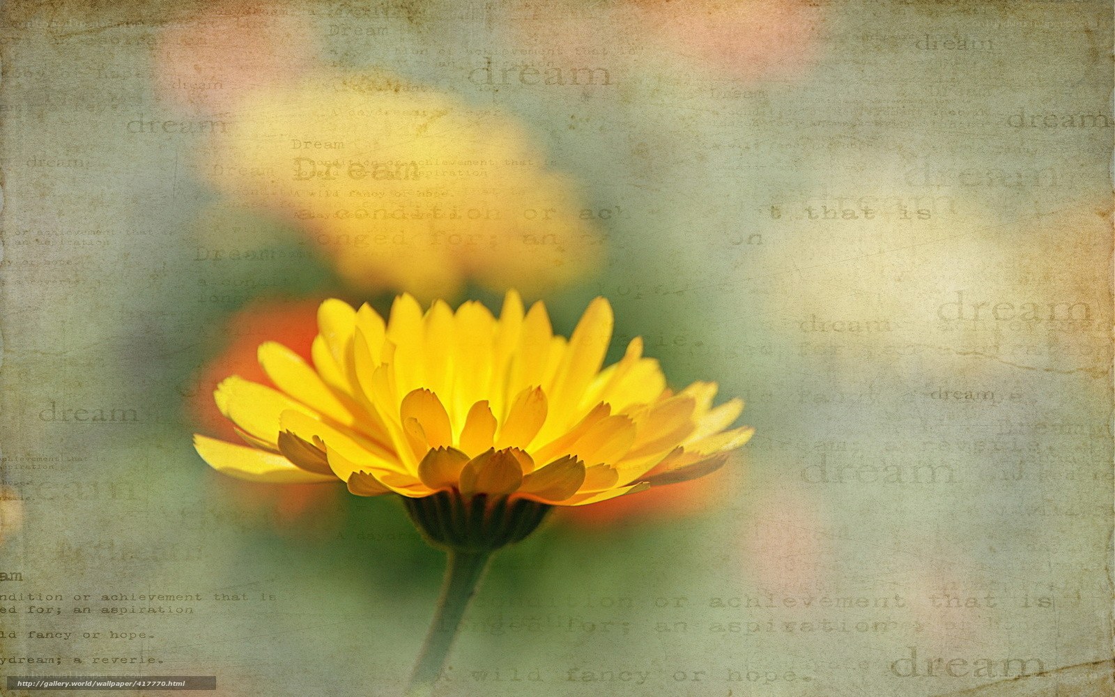 Yellow flower with dream text