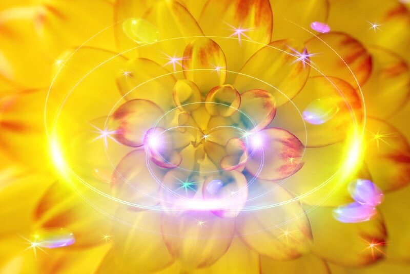 yellow flower with glowing effects