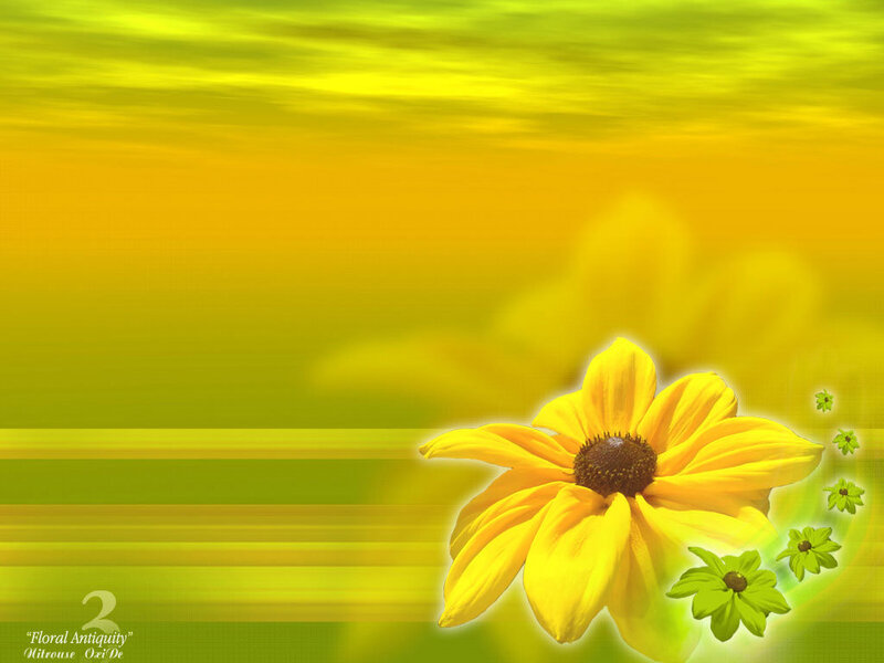 Yellow Flower with Green Buds