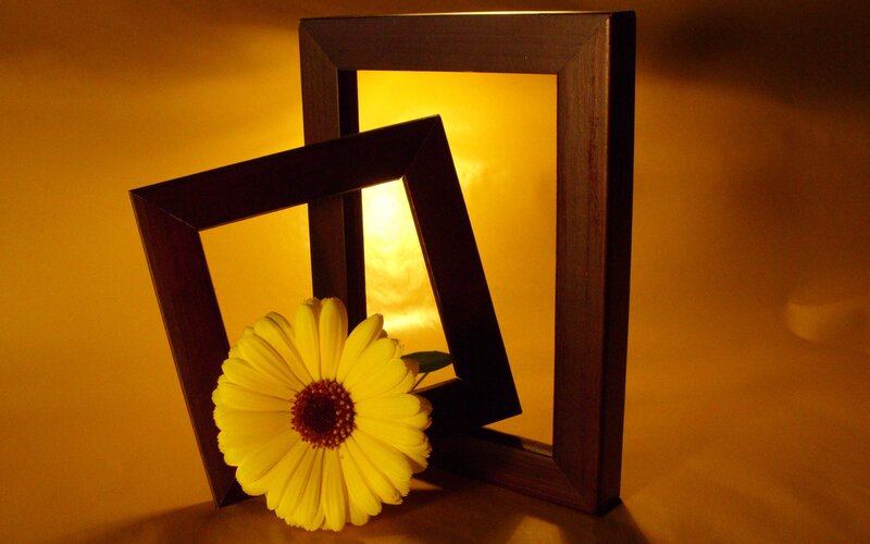 Yellow flower with picture frames