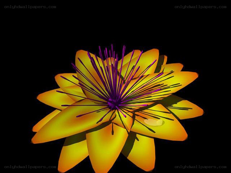yellow flower with purple stamen