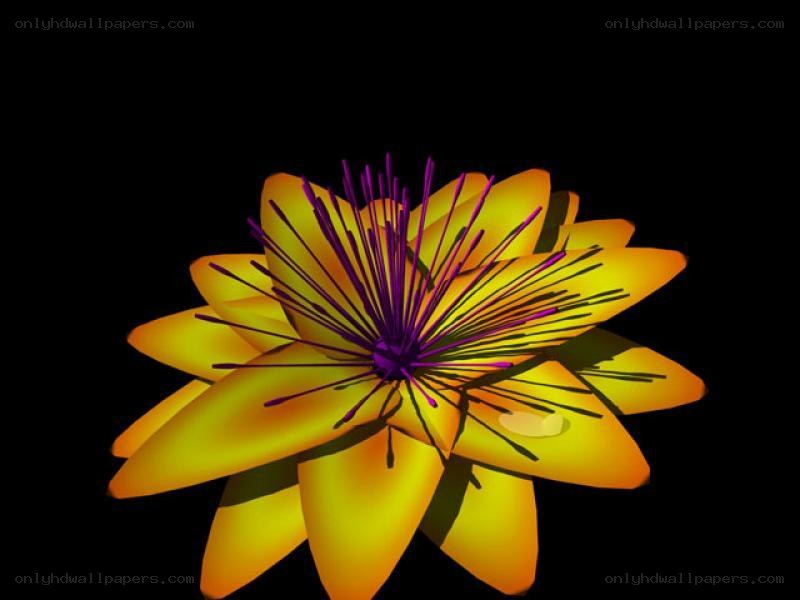 yellow flower with purple stamen