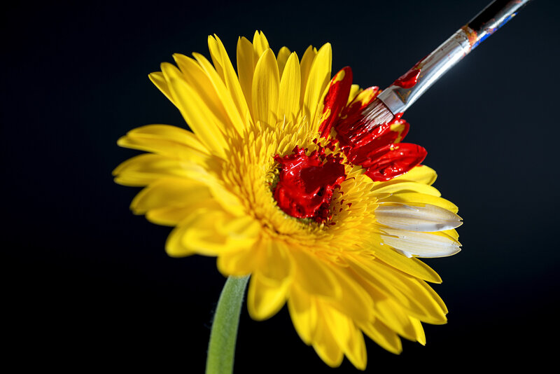 Yellow Flower with Red Paint