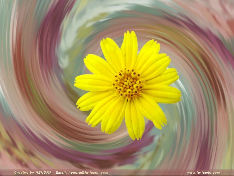 Yellow flower with swirling background