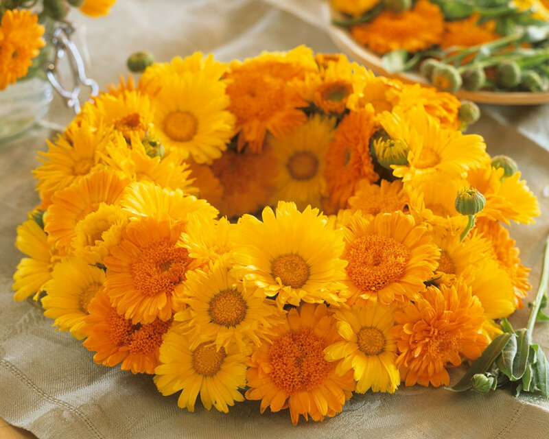 Yellow Flower Wreath — Calm
