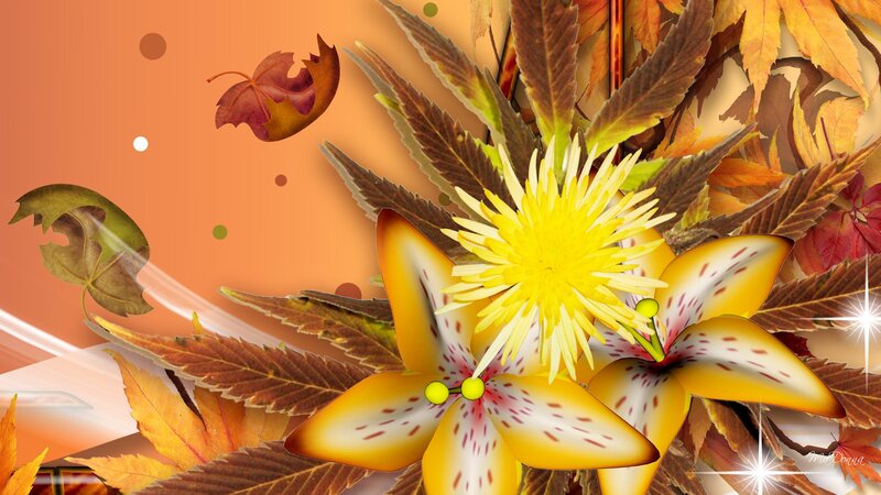 Yellow Flowers and Autumn Leaves
