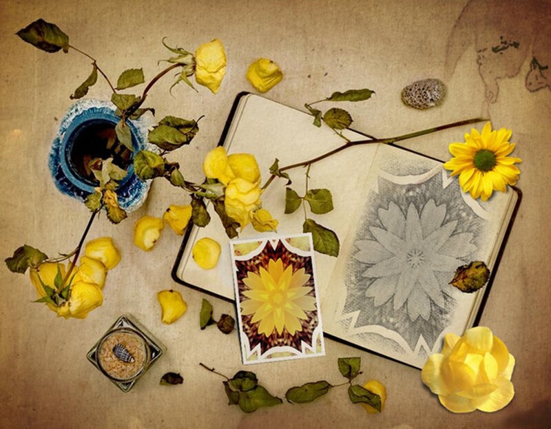 Yellow Flowers and Book