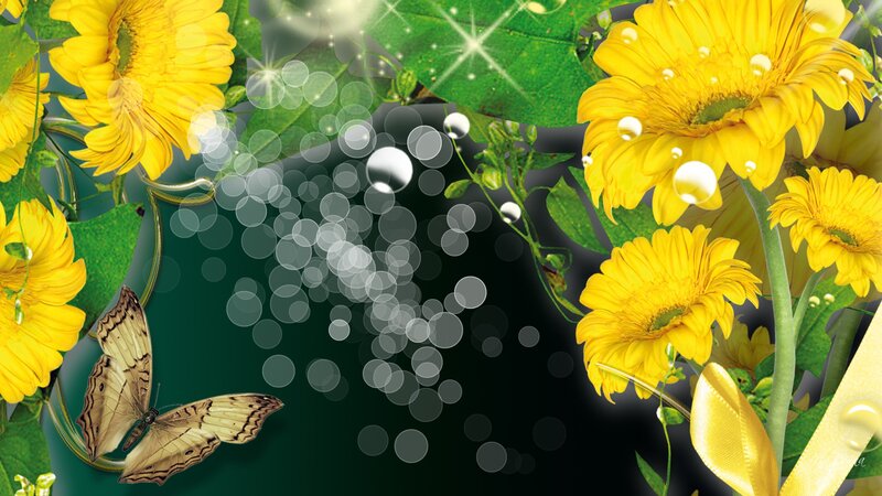 Yellow Flowers and Butterfly — Serene