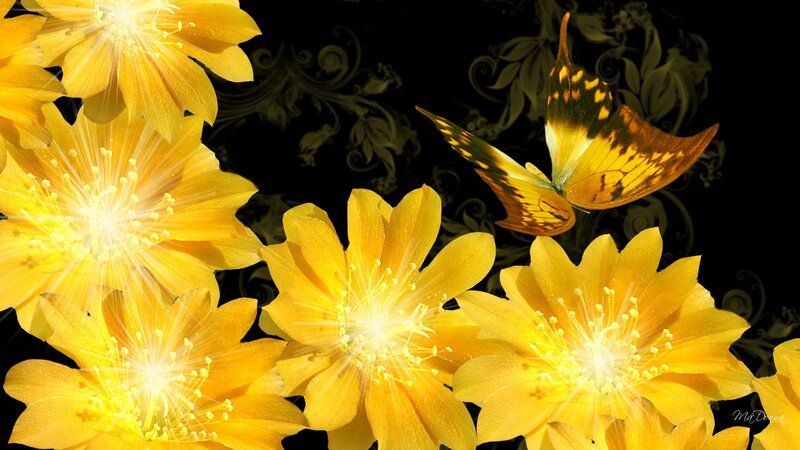 Yellow Flowers and Butterfly