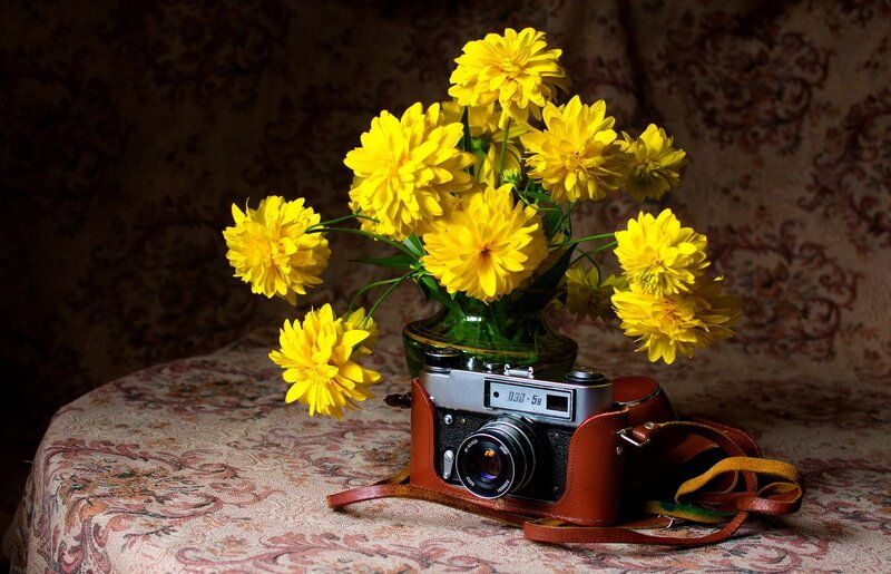 Yellow Flowers and Camera