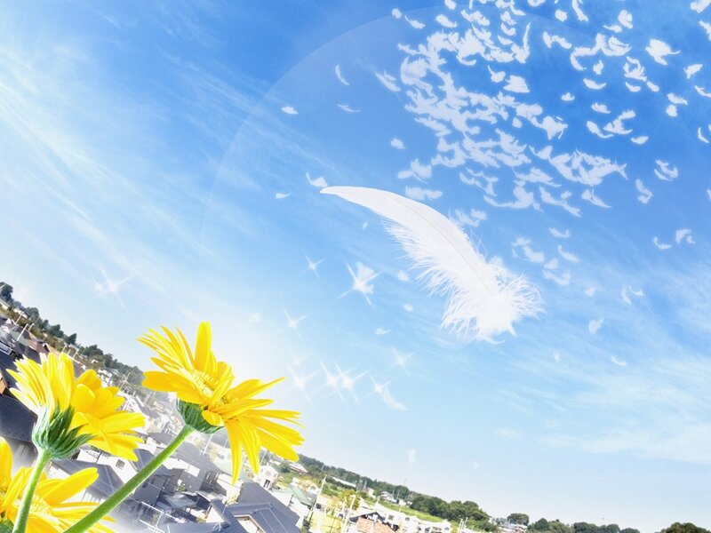 Yellow Flowers and Feather